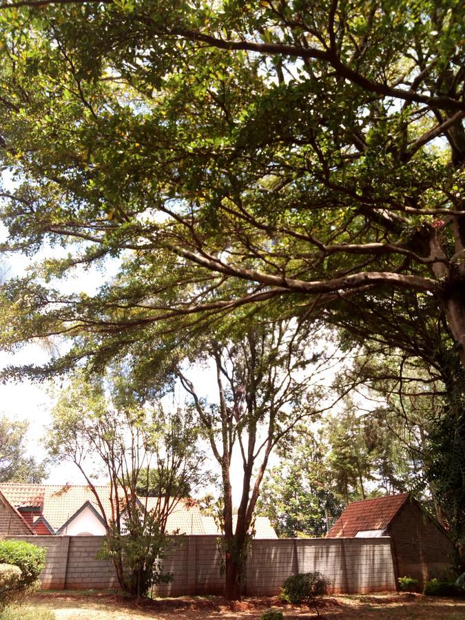 Kijiji Homestay Nairobi Dış mekan fotoğraf
